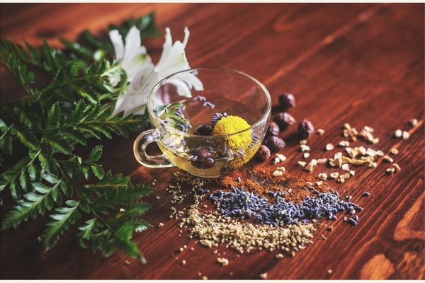 10 Najlepszych Tradicionalnych Herbat Ziołowych Wykorzystywanych w Holistycznym Leczeniu