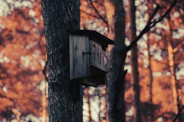 Top 7 Zestawów do Personalizacji Klawiatur Mechanicznych dla Unikalnej Akustyki